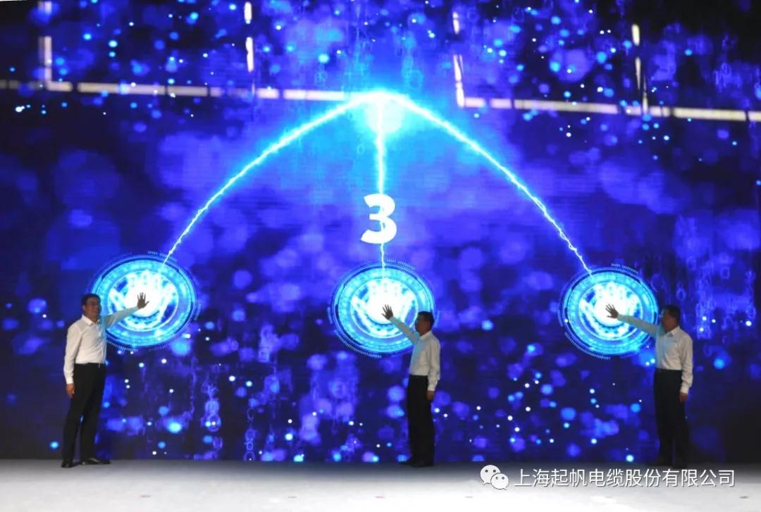 起帆电缆荣获第七届金山区区长质量奖组织奖